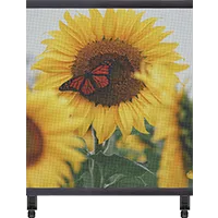 Transparent LED Poster Display | 2×2m | P3.91mm | Large Holographic LED Film Screen for Retail Window Display